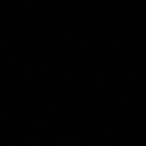 Meet your Posher, Logan